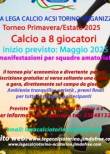 Calcio a 8: Torneo amatoriale di calcio a 8 