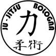 ju jitsu bologna palestra arti marziali